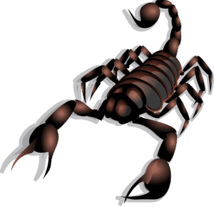 Scorpioni in Casa